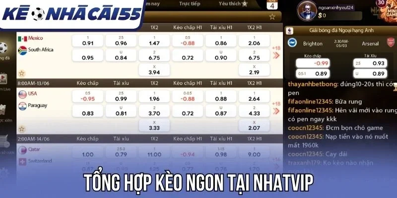 Tổng hợp kèo chất tại Nhatvip