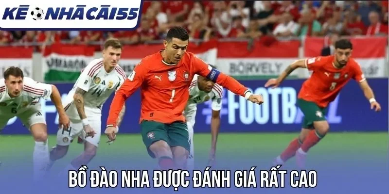 Bồ Đào Nha được đánh giá rất cao trước thềm WC 2026