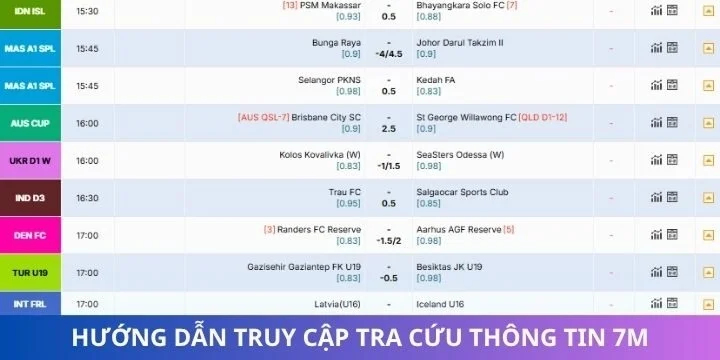 Hướng dẫn thao tác tra cứu nhanh tại 7m cho người mới