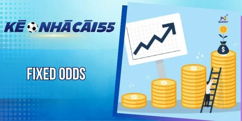 Fixed Odds - Chiến Lược Cược Đỉnh Cao, Tăng Lợi Nhuận Nhanh